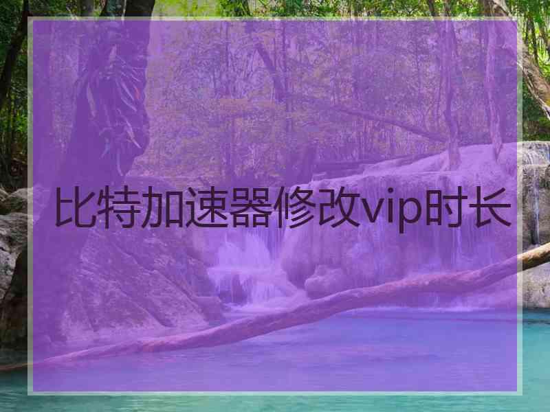 比特加速器修改vip时长